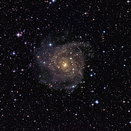 IC 342- The Hidden Galaxy