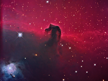 Horsehead Nebula by Bill Freytag