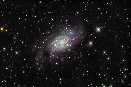 NGC 2403