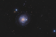 NGC 3344