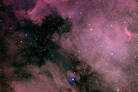 NGC 7000- North American Nebula
