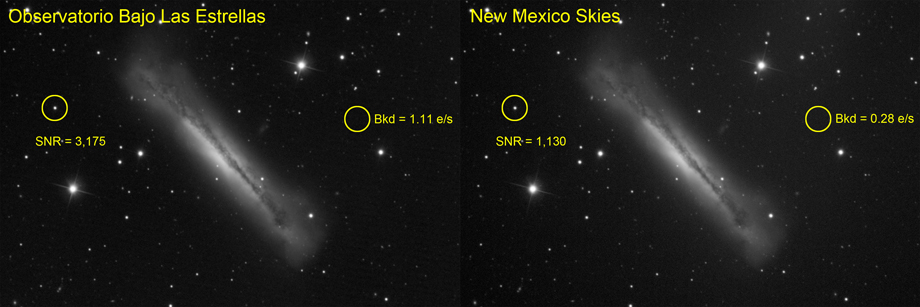 NGC 3628 Observatorio Bajo Las Estrellas vs New Mexico Skies